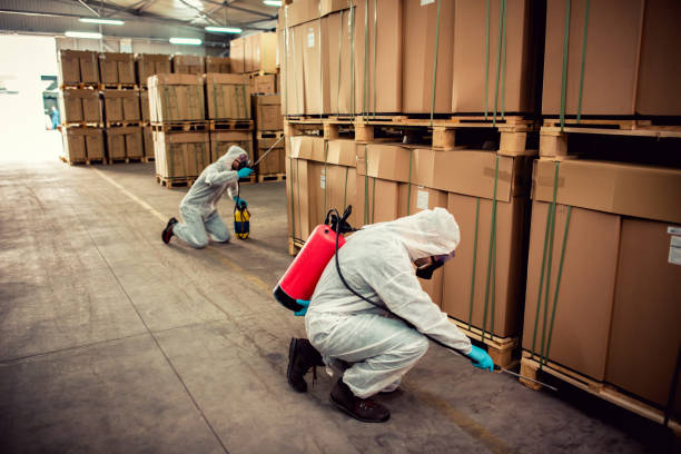 Best Flea Control Services  in Sherman, IL