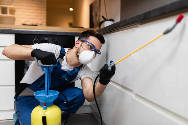 Professional Pest Control in Sherman, IL