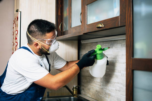 Best Best Pest Control Companies  in Sherman, IL