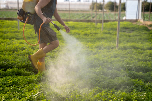 Best Pest Control Near Me  in Sherman, IL