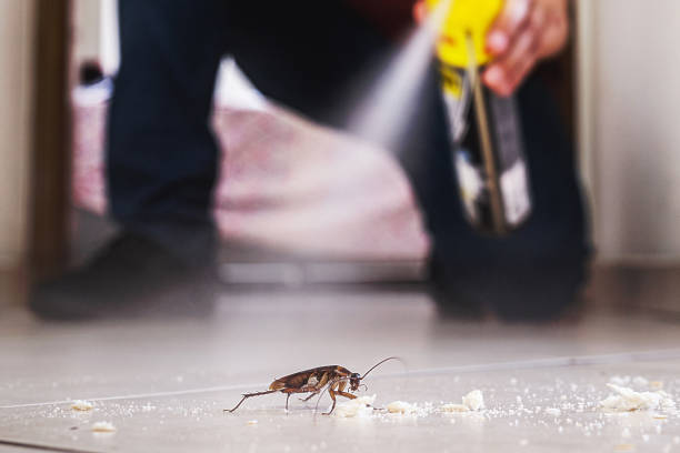 Best Wildlife Control Services  in Sherman, IL