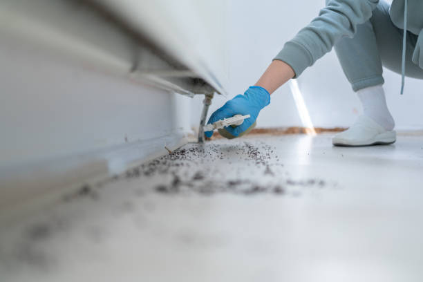 Best Local Pest Control Services  in Sherman, IL