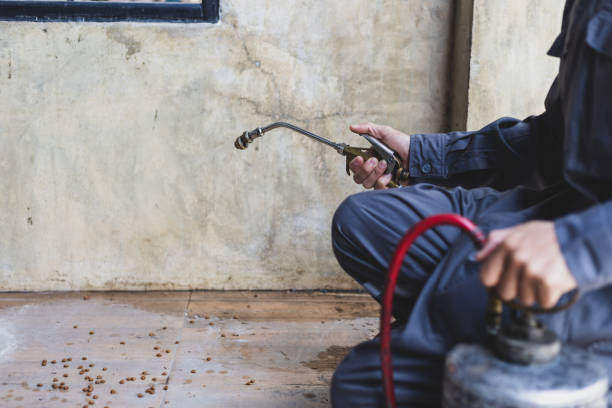 Best Pest Control for Restaurants  in Sherman, IL